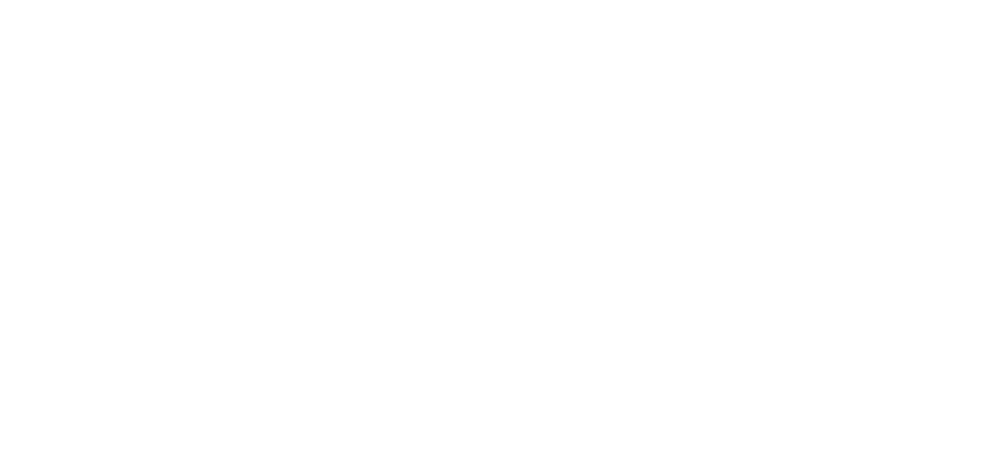 logo renault et dacia blanc logo renault et dacia blanc